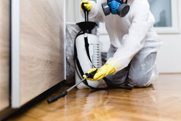 Best Exterminator Services  in Peculiar, MO