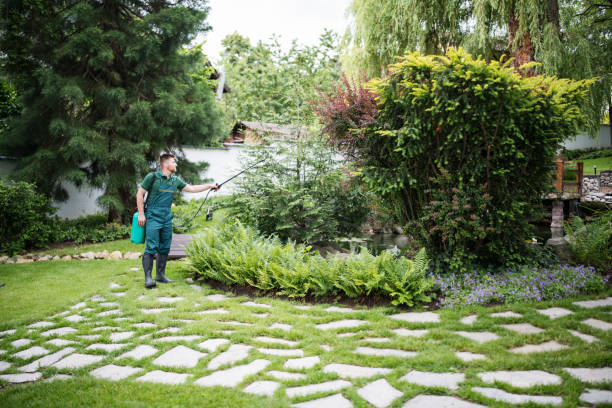Best Residential Pest Control  in Peculiar, MO